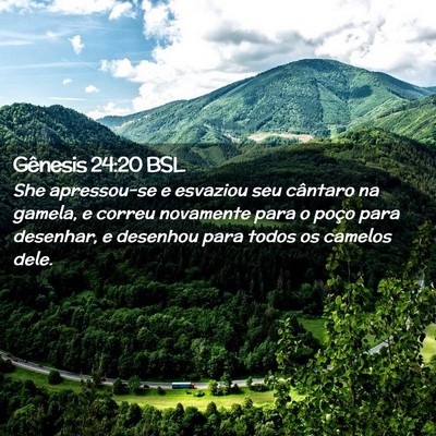 Picture 02 - Gênesis 24:20 BSL - She apressou-se e esvaziou seu cântaro na - Bible Verse Picture