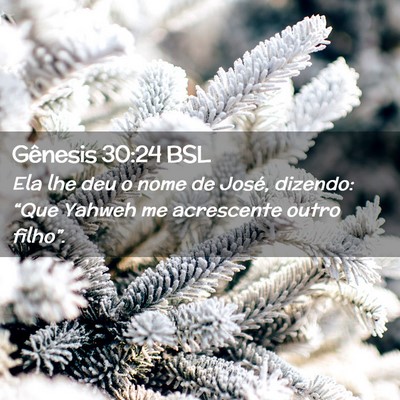 Picture 02 - Gênesis 30:24 BSL - Ela lhe deu o nome de José, dizendo: “Que - Bible Verse Picture