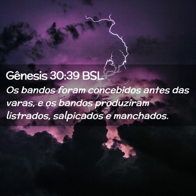 Picture 02 - Gênesis 30:39 BSL - Os bandos foram concebidos antes das varas, e os - Bible Verse Picture