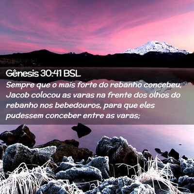 Picture 02 - Gênesis 30:41 BSL - Sempre que o mais forte do rebanho concebeu, - Bible Verse Picture