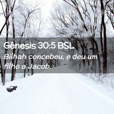 Picture 02 - Gênesis 30:5 BSL - Bilhah concebeu, e deu um filho a - Bible Verse Picture