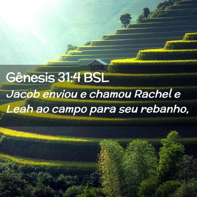 Picture 02 - Gênesis 31:4 BSL - Jacob enviou e chamou Rachel e Leah ao campo para - Bible Verse Picture