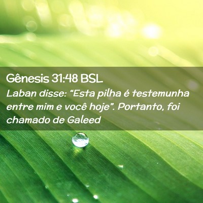 Picture 02 - Gênesis 31:48 BSL - Laban disse: “Esta pilha é testemunha entre - Bible Verse Picture
