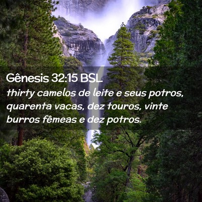 Picture 02 - Gênesis 32:15 BSL - thirty camelos de leite e seus potros, quarenta - Bible Verse Picture