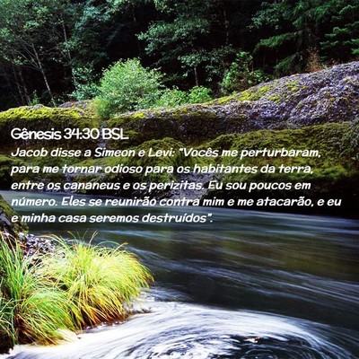 Picture 02 - Gênesis 34:30 BSL - Jacob disse a Simeon e Levi: “Vocês me - Bible Verse Picture