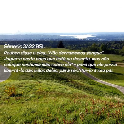 Picture 02 - Gênesis 37:22 BSL - Reuben disse a eles: “Não derramemos - Bible Verse Picture