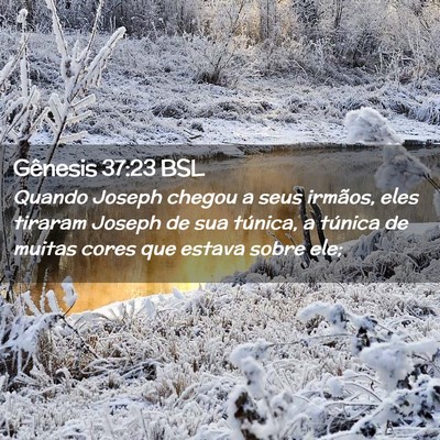 Picture 02 - Gênesis 37:23 BSL - Quando Joseph chegou a seus irmãos, eles tiraram - Bible Verse Picture