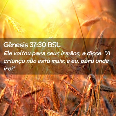 Picture 02 - Gênesis 37:30 BSL - Ele voltou para seus irmãos, e disse: “A - Bible Verse Picture