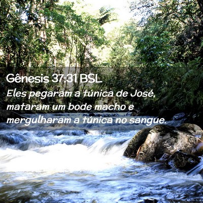 Picture 02 - Gênesis 37:31 BSL - Eles pegaram a túnica de José, mataram um bode - Bible Verse Picture