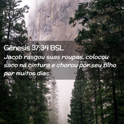 Picture 02 - Gênesis 37:34 BSL - Jacob rasgou suas roupas, colocou saco na cintura - Bible Verse Picture