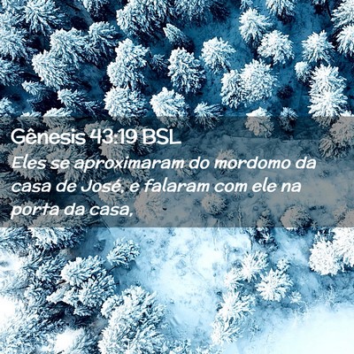 Picture 02 - Gênesis 43:19 BSL - Eles se aproximaram do mordomo da casa de José, - Bible Verse Picture