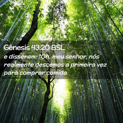 Picture 02 - Gênesis 43:20 BSL - e disseram: “Oh, meu senhor, nós realmente - Bible Verse Picture