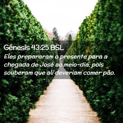 Picture 02 - Gênesis 43:25 BSL - Eles prepararam o presente para a chegada de - Bible Verse Picture