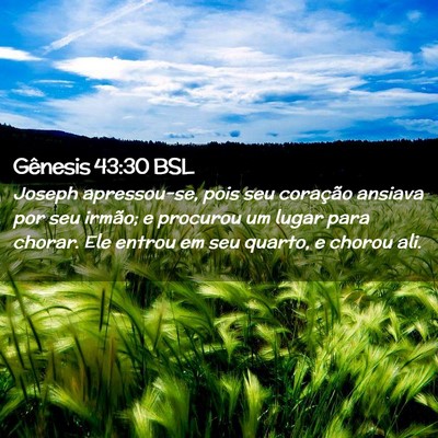 Picture 02 - Gênesis 43:30 BSL - Joseph apressou-se, pois seu coração ansiava - Bible Verse Picture