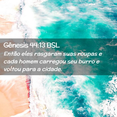Picture 02 - Gênesis 44:13 BSL - Então eles rasgaram suas roupas e cada homem - Bible Verse Picture