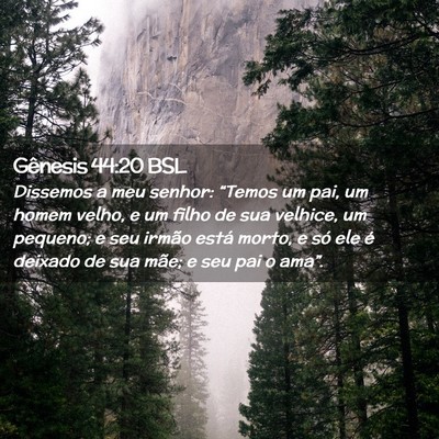 Picture 02 - Gênesis 44:20 BSL - Dissemos a meu senhor: “Temos um pai, um homem - Bible Verse Picture