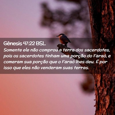 Picture 02 - Gênesis 47:22 BSL - Somente ele não comprou a terra dos sacerdotes, - Bible Verse Picture