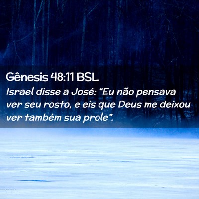 Picture 02 - Gênesis 48:11 BSL - Israel disse a José: “Eu não pensava ver seu - Bible Verse Picture