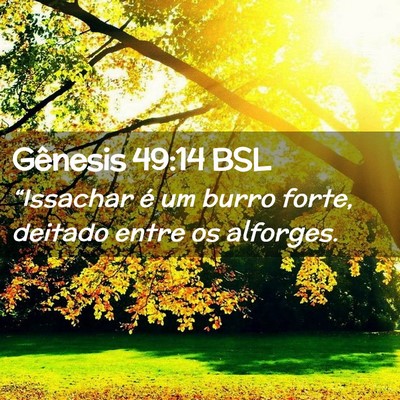 Picture 02 - Gênesis 49:14 BSL - “Issachar é um burro forte, deitado entre os - Bible Verse Picture