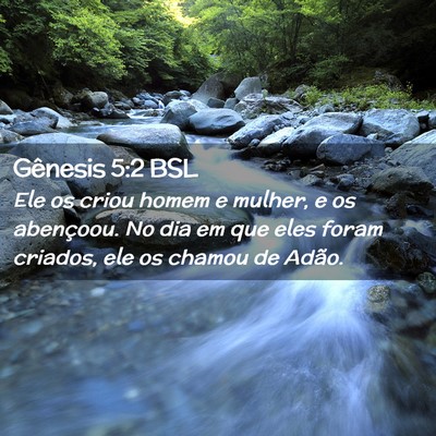 Picture 02 - Gênesis 5:2 BSL - Ele os criou homem e mulher, e os abençoou. No - Bible Verse Picture