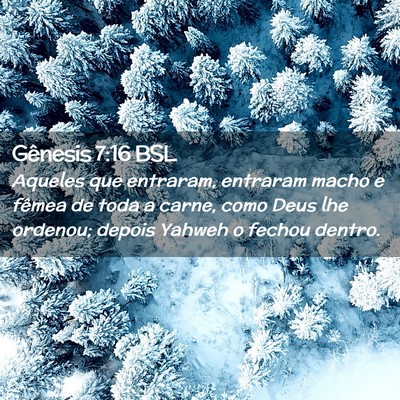 Picture 02 - Gênesis 7:16 BSL - Aqueles que entraram, entraram macho e fêmea de - Bible Verse Picture