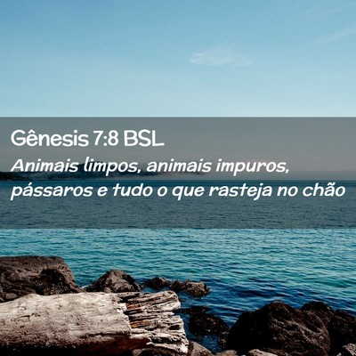 Picture 02 - Gênesis 7:8 BSL - Animais limpos, animais impuros, pássaros e tudo - Bible Verse Picture