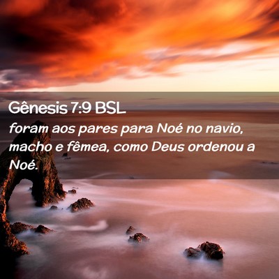 Picture 02 - Gênesis 7:9 BSL - foram aos pares para Noé no navio, macho e - Bible Verse Picture
