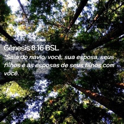 Picture 02 - Gênesis 8:16 BSL - “Saia do navio, você, sua esposa, seus filhos - Bible Verse Picture