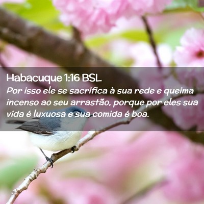 Picture 02 - Habacuque 1:16 BSL - Por isso ele se sacrifica à sua rede e queima - Bible Verse Picture