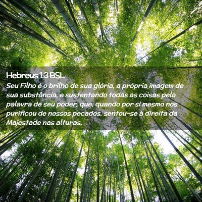 Picture 02 - Hebreus 1:3 BSL - Seu Filho é o brilho de sua glória, a própria - Bible Verse Picture