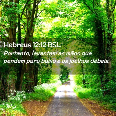 Picture 02 - Hebreus 12:12 BSL - Portanto, levantem as mãos que pendem para baixo - Bible Verse Picture
