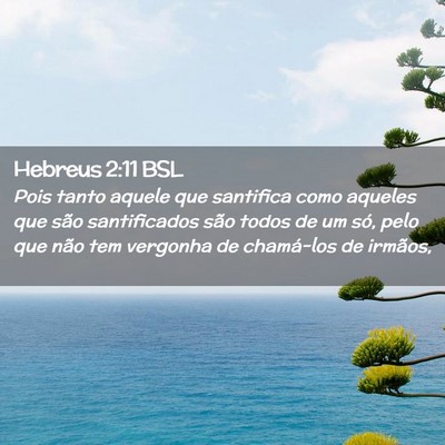 Picture 02 - Hebreus 2:11 BSL - Pois tanto aquele que santifica como aqueles que - Bible Verse Picture