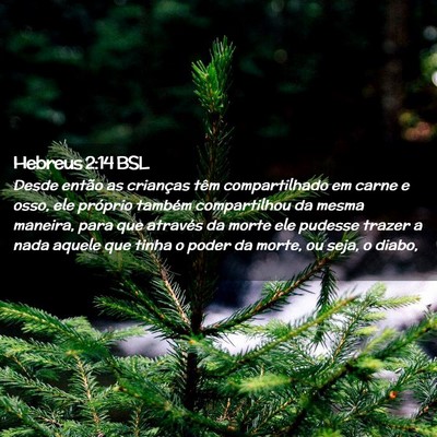 Picture 02 - Hebreus 2:14 BSL - Desde então as crianças têm compartilhado em - Bible Verse Picture