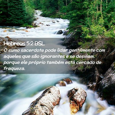 Picture 02 - Hebreus 5:2 BSL - O sumo sacerdote pode lidar gentilmente com - Bible Verse Picture