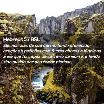 Picture 02 - Hebreus 5:7 BSL - Ele, nos dias de sua carne, tendo oferecido - Bible Verse Picture