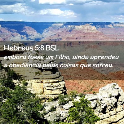 Picture 02 - Hebreus 5:8 BSL - embora fosse um Filho, ainda aprendeu a - Bible Verse Picture