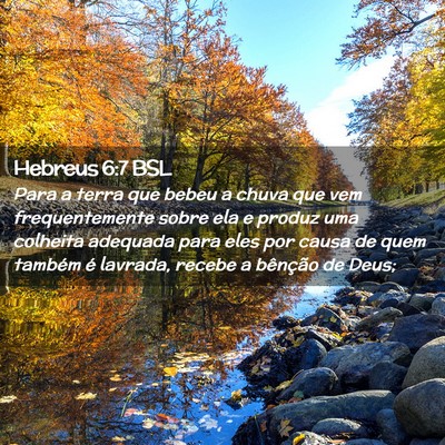 Picture 02 - Hebreus 6:7 BSL - Para a terra que bebeu a chuva que vem - Bible Verse Picture