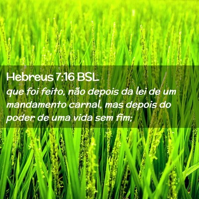 Picture 02 - Hebreus 7:16 BSL - que foi feito, não depois da lei de um - Bible Verse Picture