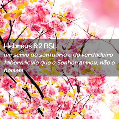 Picture 02 - Hebreus 8:2 BSL - um servo do santuário e do verdadeiro - Bible Verse Picture