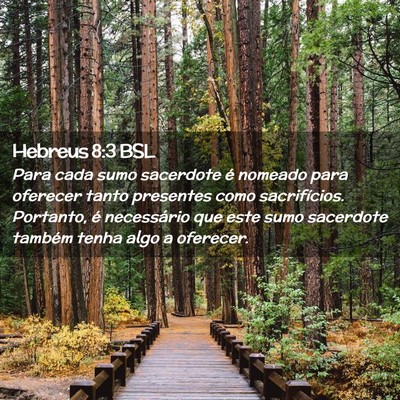 Picture 02 - Hebreus 8:3 BSL - Para cada sumo sacerdote é nomeado para oferecer - Bible Verse Picture