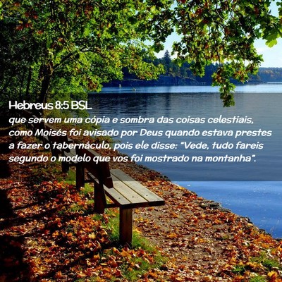 Picture 02 - Hebreus 8:5 BSL - que servem uma cópia e sombra das coisas - Bible Verse Picture