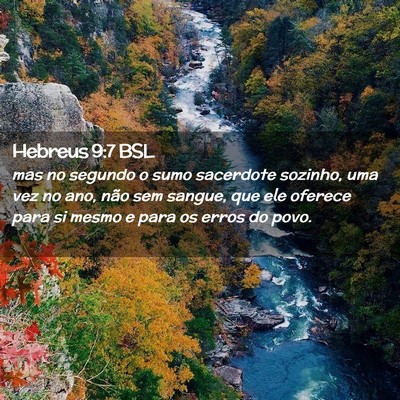 Picture 02 - Hebreus 9:7 BSL - mas no segundo o sumo sacerdote sozinho, uma vez - Bible Verse Picture