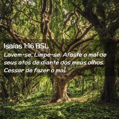 Picture 02 - Isaías 1:16 BSL - Lavem-se. Limpe-se. Afaste o mal de seus atos de - Bible Verse Picture