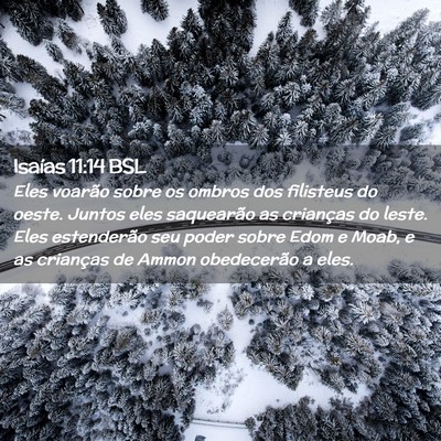 Picture 02 - Isaías 11:14 BSL - Eles voarão sobre os ombros dos filisteus do - Bible Verse Picture