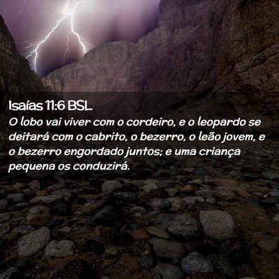 Picture 02 - Isaías 11:6 BSL - O lobo vai viver com o cordeiro, e o leopardo se - Bible Verse Picture