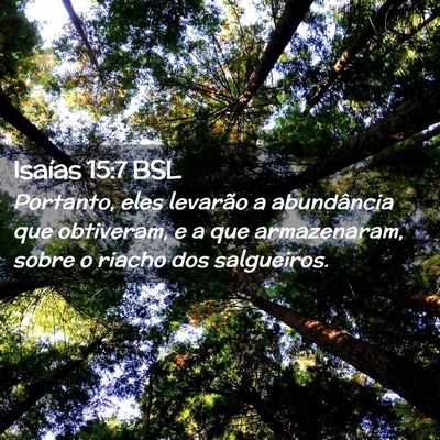 Picture 02 - Isaías 15:7 BSL - Portanto, eles levarão a abundância que - Bible Verse Picture