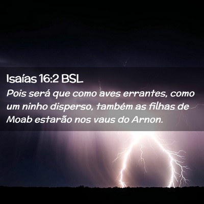 Picture 02 - Isaías 16:2 BSL - Pois será que como aves errantes, como um ninho - Bible Verse Picture