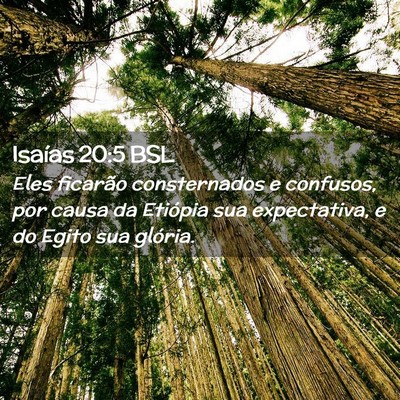 Picture 02 - Isaías 20:5 BSL - Eles ficarão consternados e confusos, por causa - Bible Verse Picture