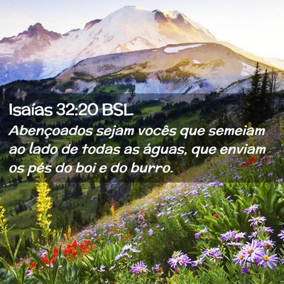Picture 02 - Isaías 32:20 BSL - Abençoados sejam vocês que semeiam ao lado de - Bible Verse Picture