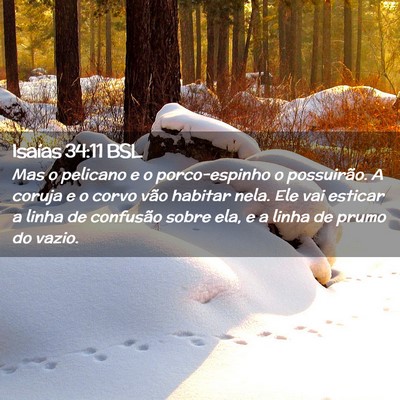 Picture 02 - Isaías 34:11 BSL - Mas o pelicano e o porco-espinho o possuirão. A - Bible Verse Picture